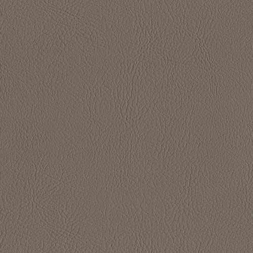 Color Elephant