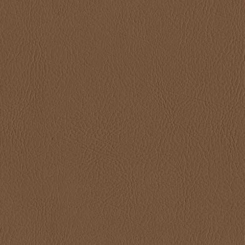 Color Nutmeg