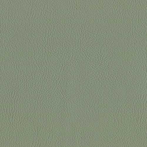 Color Seagrass